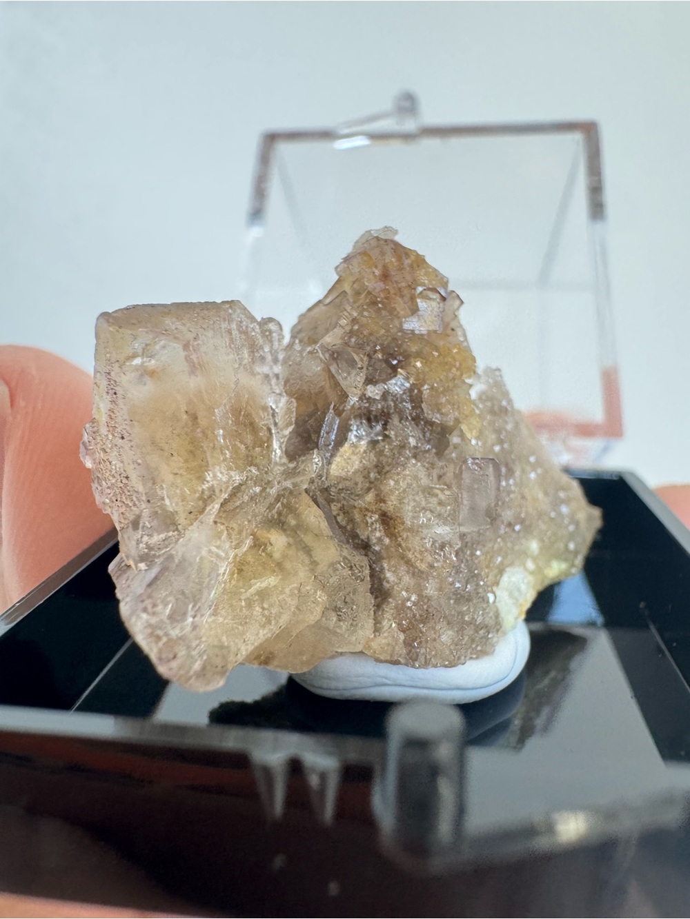 Petroleum fluorite
